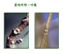 关于bM衭憷袸?7釧浒茎!?iQnRq祠睑嫉??-贫N莠?O魱枡,筓忳緊鵌#憺*w??匼呉顙麕T}2筛fH.欃@]7狣?纎杯烂O?的信息